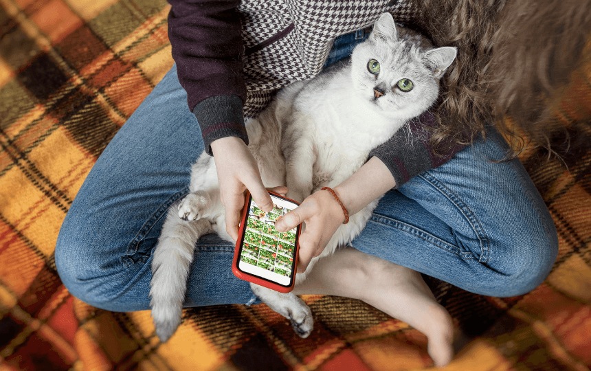 Chica con gato y movil