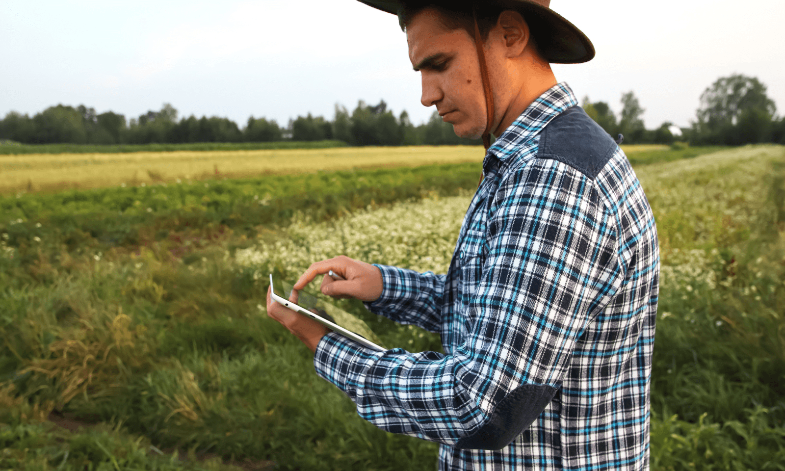 Tecnología para el campo con sensores agrícolas y conectividad rural en un cultivo